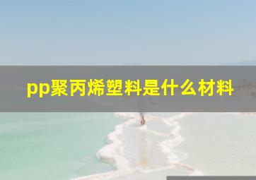 pp聚丙烯塑料是什么材料