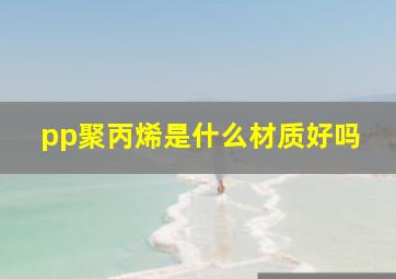 pp聚丙烯是什么材质好吗