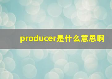 producer是什么意思啊