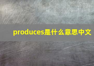 produces是什么意思中文