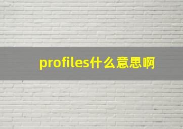 profiles什么意思啊