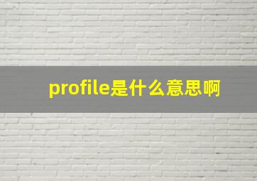 profile是什么意思啊