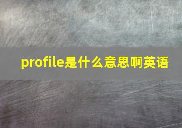 profile是什么意思啊英语