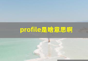 profile是啥意思啊