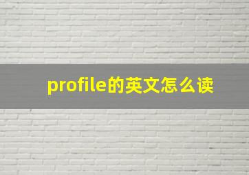 profile的英文怎么读