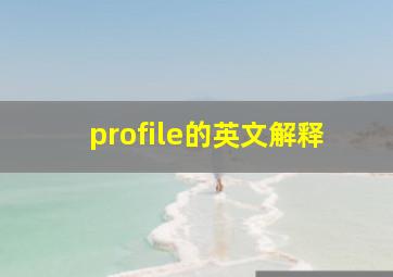 profile的英文解释