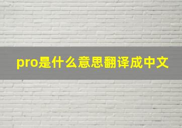 pro是什么意思翻译成中文