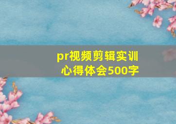 pr视频剪辑实训心得体会500字