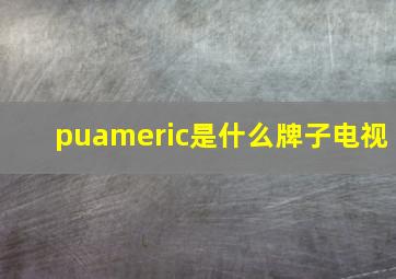 puameric是什么牌子电视