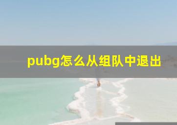 pubg怎么从组队中退出