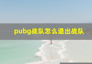 pubg战队怎么退出战队