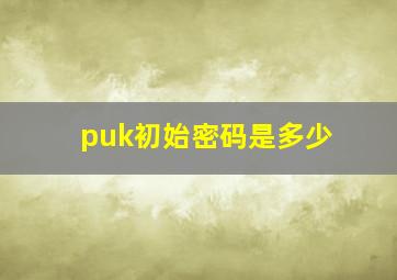 puk初始密码是多少