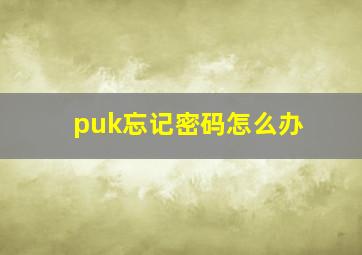 puk忘记密码怎么办