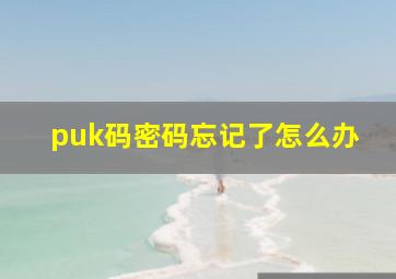 puk码密码忘记了怎么办