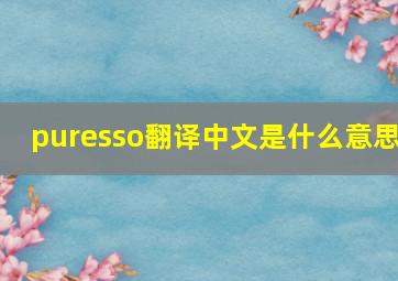 puresso翻译中文是什么意思