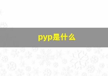 pyp是什么