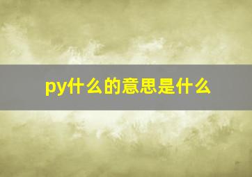 py什么的意思是什么