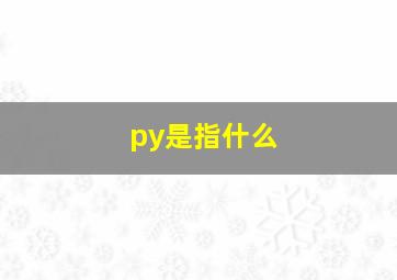 py是指什么