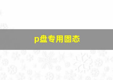 p盘专用固态