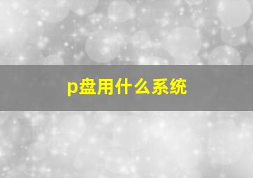 p盘用什么系统