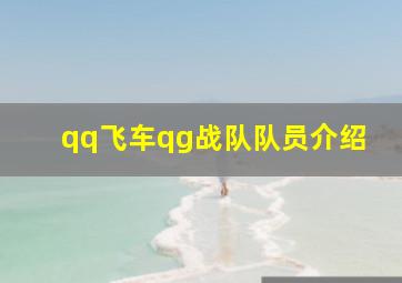 qq飞车qg战队队员介绍