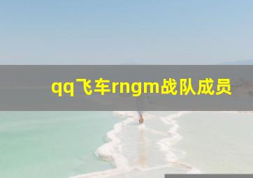 qq飞车rngm战队成员