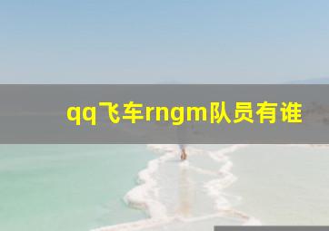 qq飞车rngm队员有谁