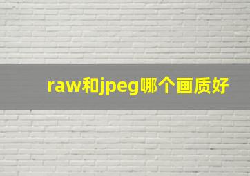 raw和jpeg哪个画质好