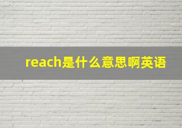 reach是什么意思啊英语