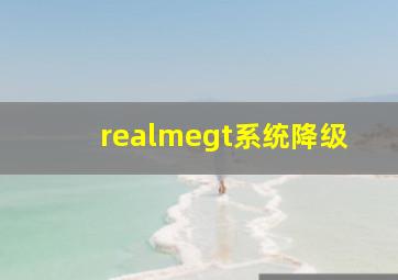 realmegt系统降级