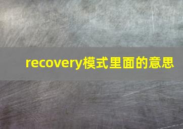 recovery模式里面的意思