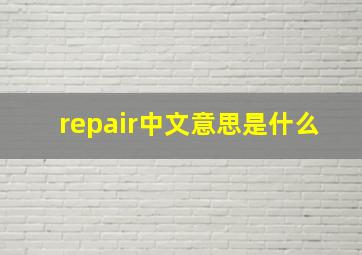 repair中文意思是什么