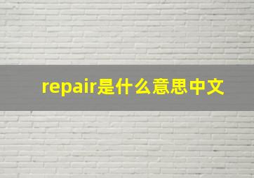 repair是什么意思中文