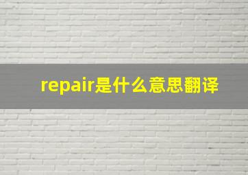 repair是什么意思翻译