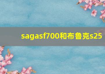 sagasf700和布鲁克s25