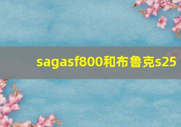 sagasf800和布鲁克s25