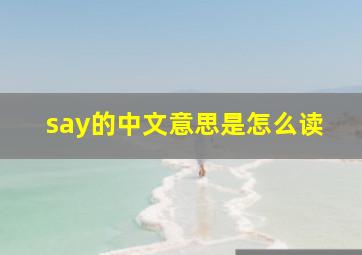 say的中文意思是怎么读