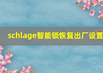 schlage智能锁恢复出厂设置