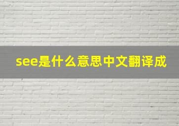 see是什么意思中文翻译成