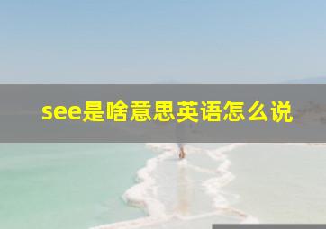 see是啥意思英语怎么说