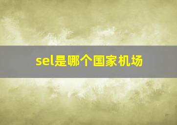 sel是哪个国家机场