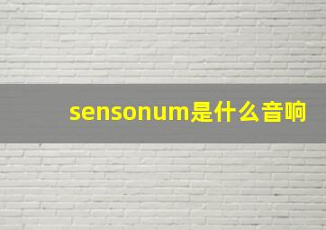 sensonum是什么音响