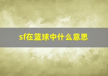 sf在篮球中什么意思