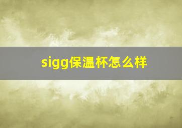 sigg保温杯怎么样