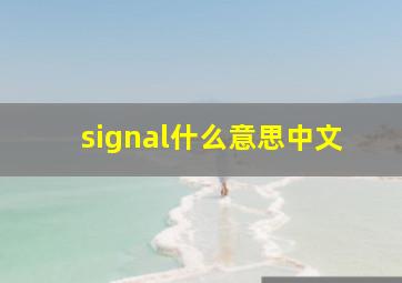 signal什么意思中文