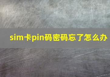 sim卡pin码密码忘了怎么办