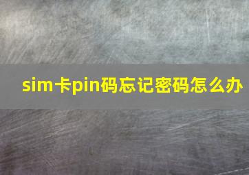 sim卡pin码忘记密码怎么办