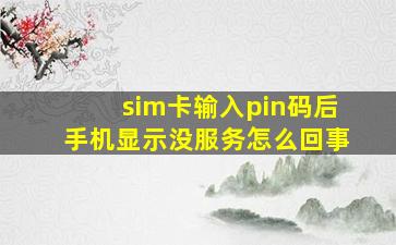 sim卡输入pin码后手机显示没服务怎么回事