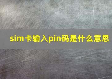 sim卡输入pin码是什么意思