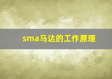 sma马达的工作原理